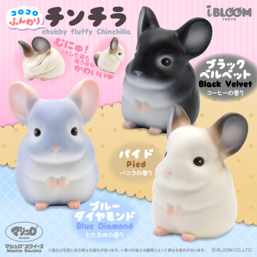 [Pre-order – Shipping after mid-Feb] IBloom - Chubby and Fluffy Chinchilla - Image 2