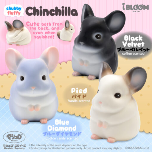 [Pre-order – Shipping after mid-Feb] IBloom - Chubby and Fluffy Chinchilla