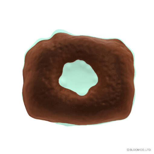 [Pre-order – Shipping after mid-Aug] IBloom - Mashlo Donut Puchi - Image 9