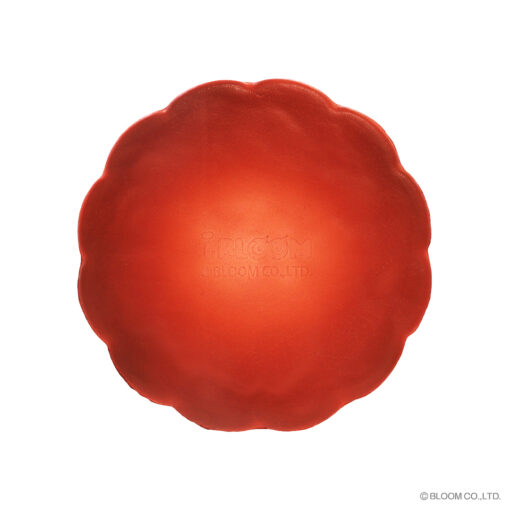 [Pre-order – Shipping after mid-Sep] IBloom - Marmo Moon Cake - 画像 (10)
